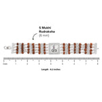 92.5 Silver Goga Four Line Rudraksha Bracelet