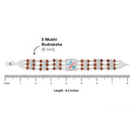 Premium Jay Thakar Rudraksha Bracelet