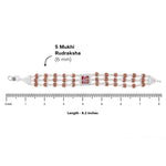 92.5 Silver Shree Red Triple Line Rudraksha Bracelet