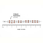 Silver Rakhi with Rudraksha, Om Flower Brooch, Double Line Bracelet