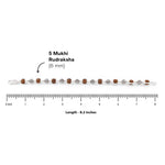 Authentic Rudraksha Silver Om Beads Capping Bracelet