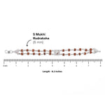 Premium Tortoise Double Row Rudraksha Bracelet