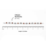Original Rudraksha and Cylindrical Silver Beads Bracelet