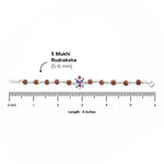 Rudraksha Silver Bracelet with Colorful Tortoise Single Line for Kids