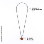 Adiyogi Pendant (12 Mukhi Nepali Rudraksha)