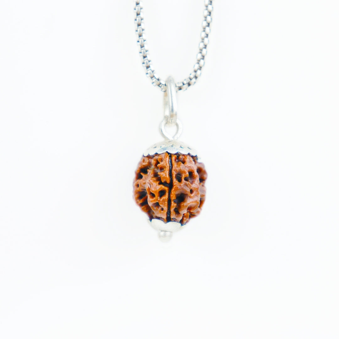 Silver Capping 3 Mukhi Rudraksha Pendant With Chain