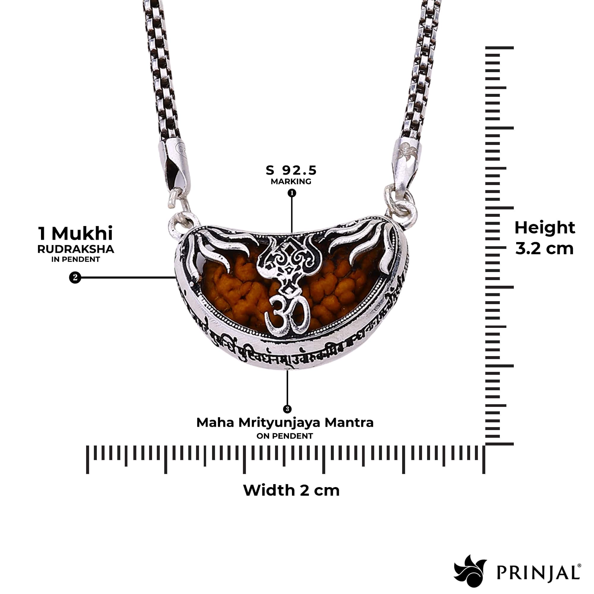 Mukhi Rudraksha with Trishul Silver Cap Pendant