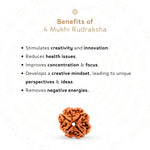 Benefits of 4 Mukhi Rudraksha