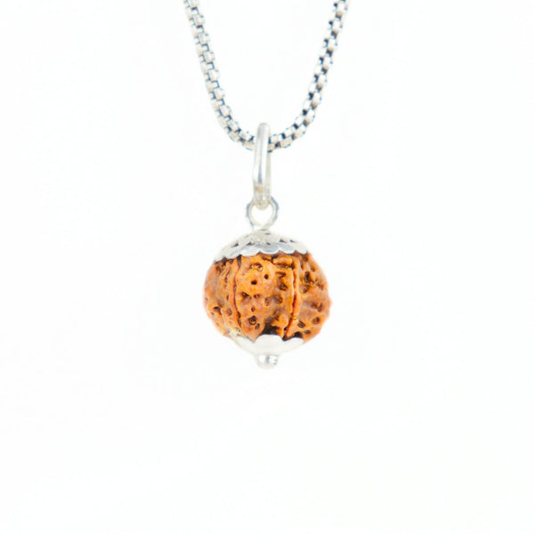 6 Mukhi Rudraksha Silver Capping Pendant ( Nepali )