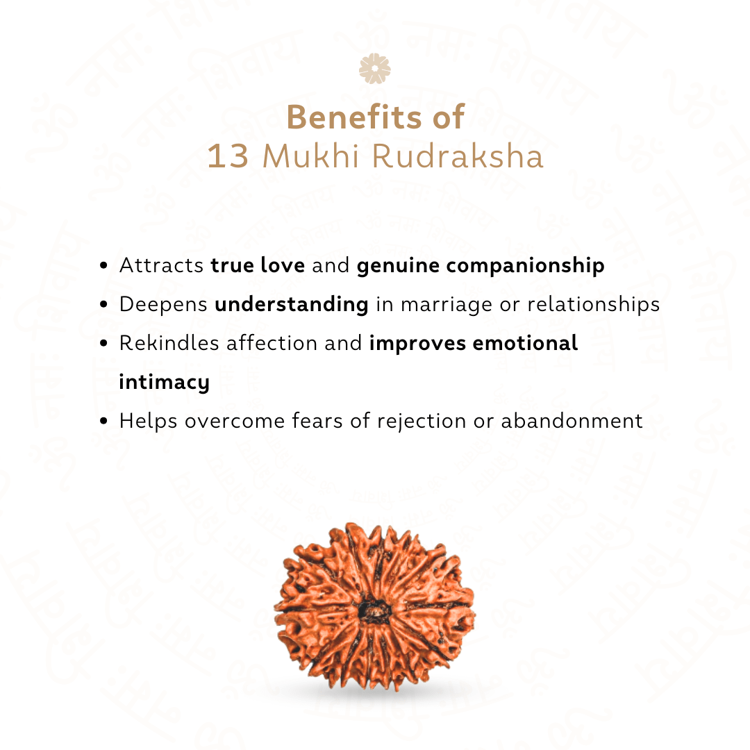 Benefits of 13 Mukhi Rudraksha