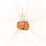 6 Mukhi Rudraksha Silver Capping Pendant ( Nepali )