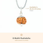 Organic Silver Capping 6 Mukhi Rudraksha Pendant With Chain