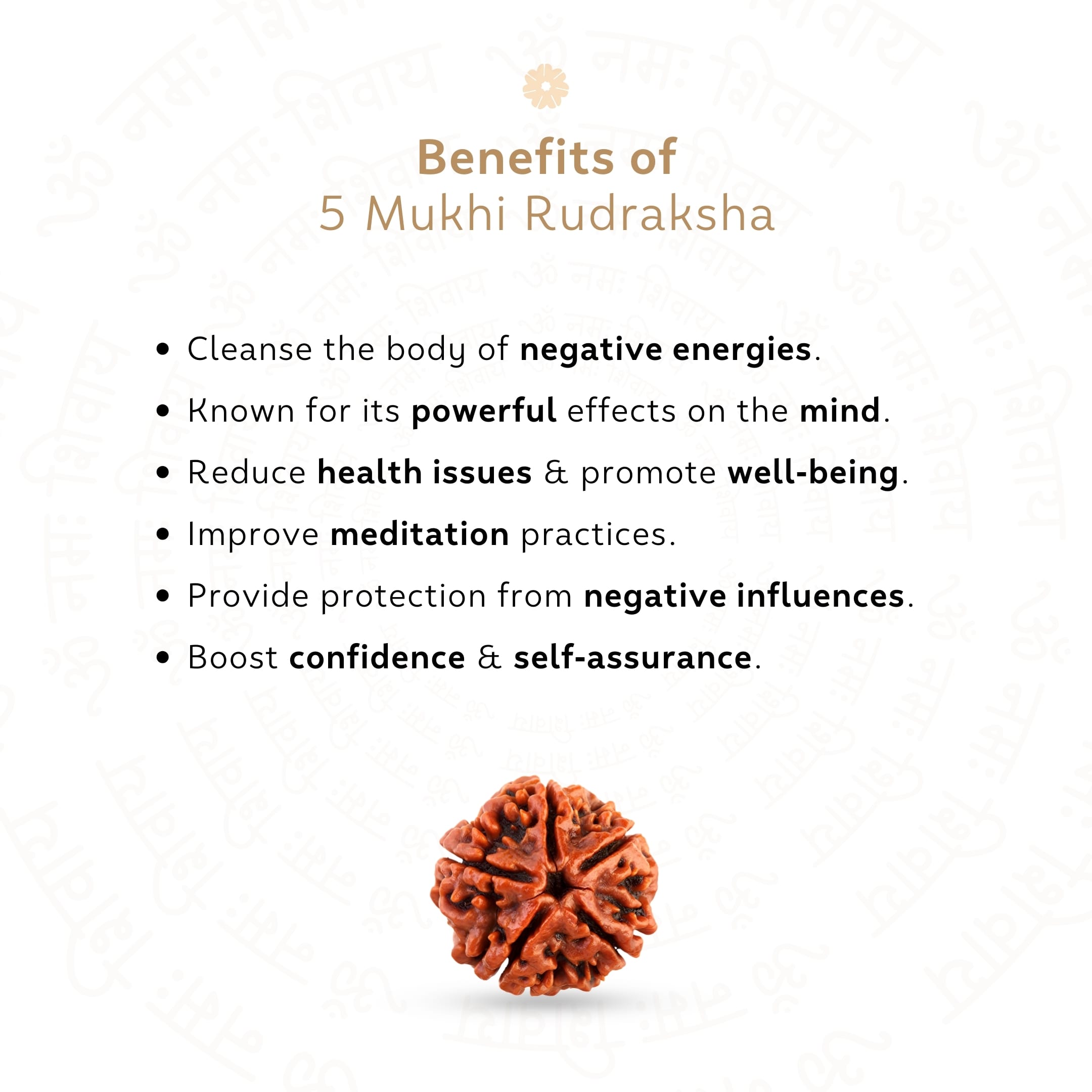 Benefits of 5 Mukhi Rudraksha