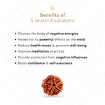 Benefits of 5 Mukhi Rudraksha