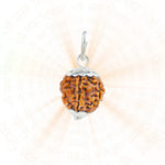 Authentic Silver Capping 7 Mukhi Rudraksha Pendant With Chain