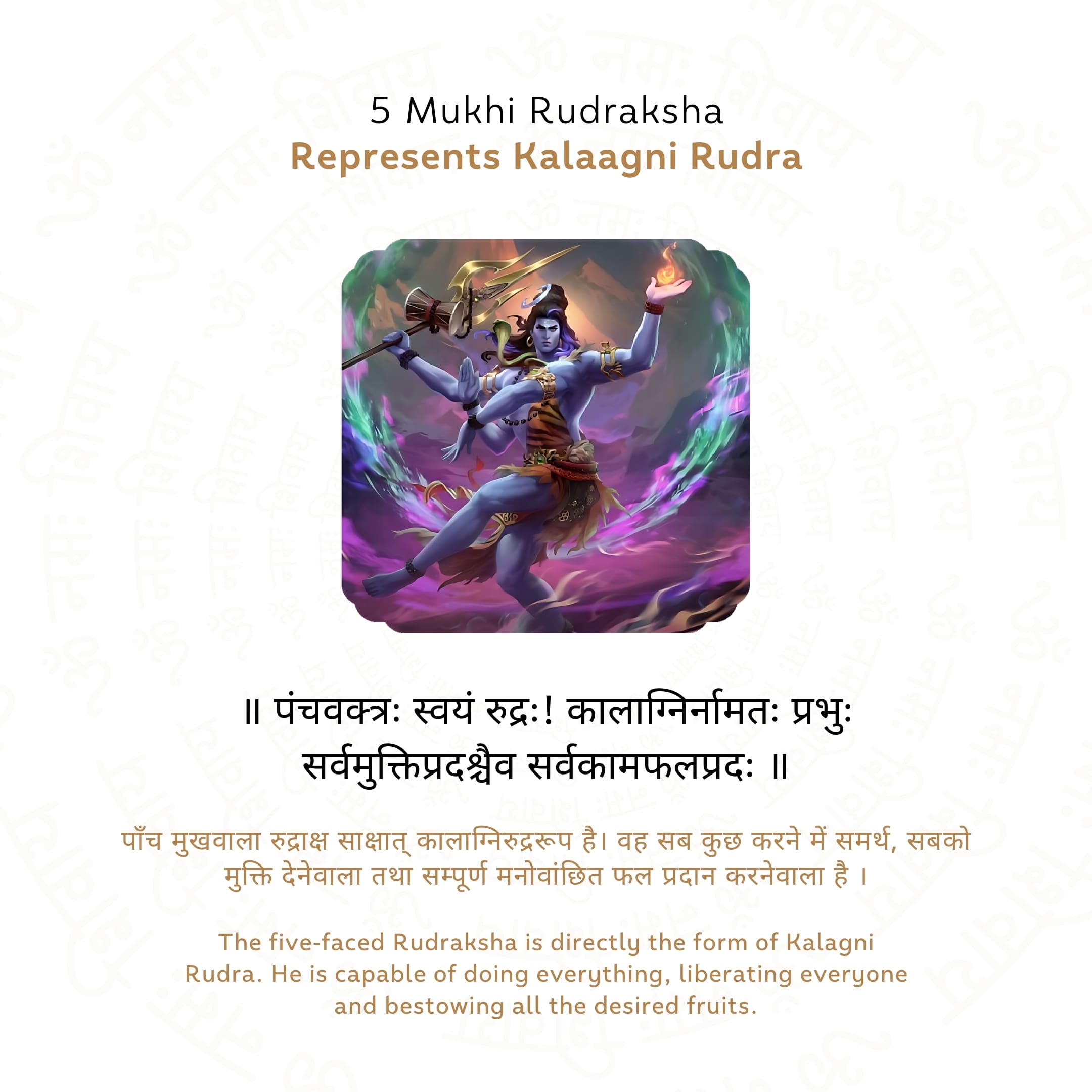 5 Mukhi Rudraksha Story