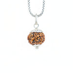 Silver Capping 8 Mukhi Rudraksha Pendant With Chain