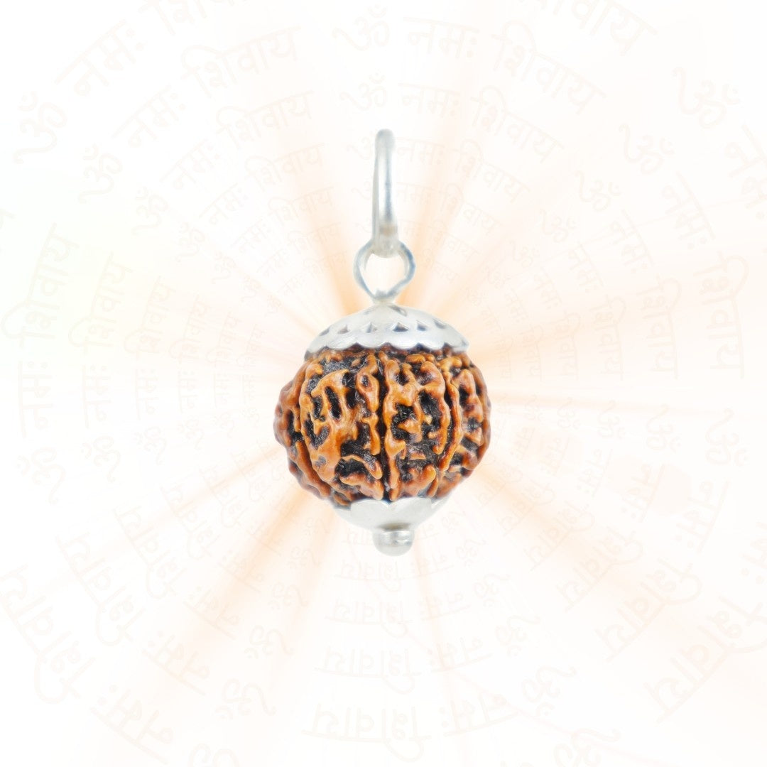 8 Mukhi Rudraksha Silver Capping Pendant ( Nepali )
