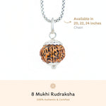 Organic Silver Capping 8 Mukhi Rudraksha Pendant With Chain