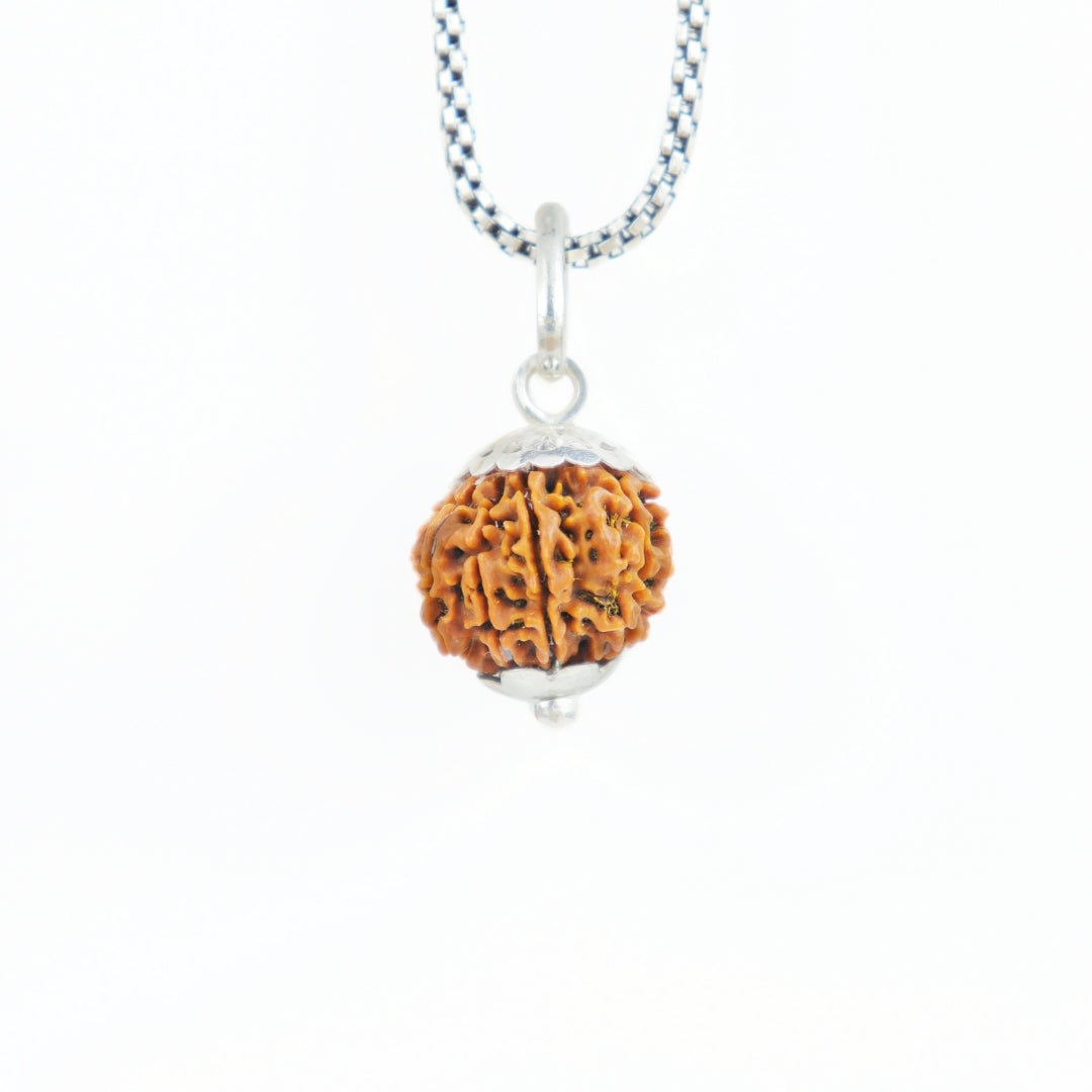 Silver Capping 9 Mukhi Rudraksha Pendant With Chain
