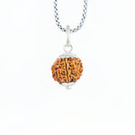 Silver Capping 9 Mukhi Rudraksha Pendant With Chain