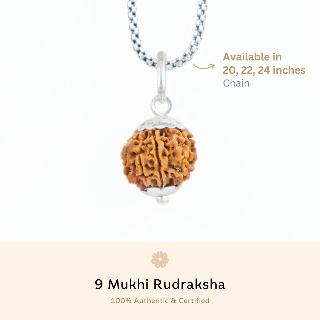 Orignal Silver Capping 9 Mukhi Rudraksha Pendant With Chain