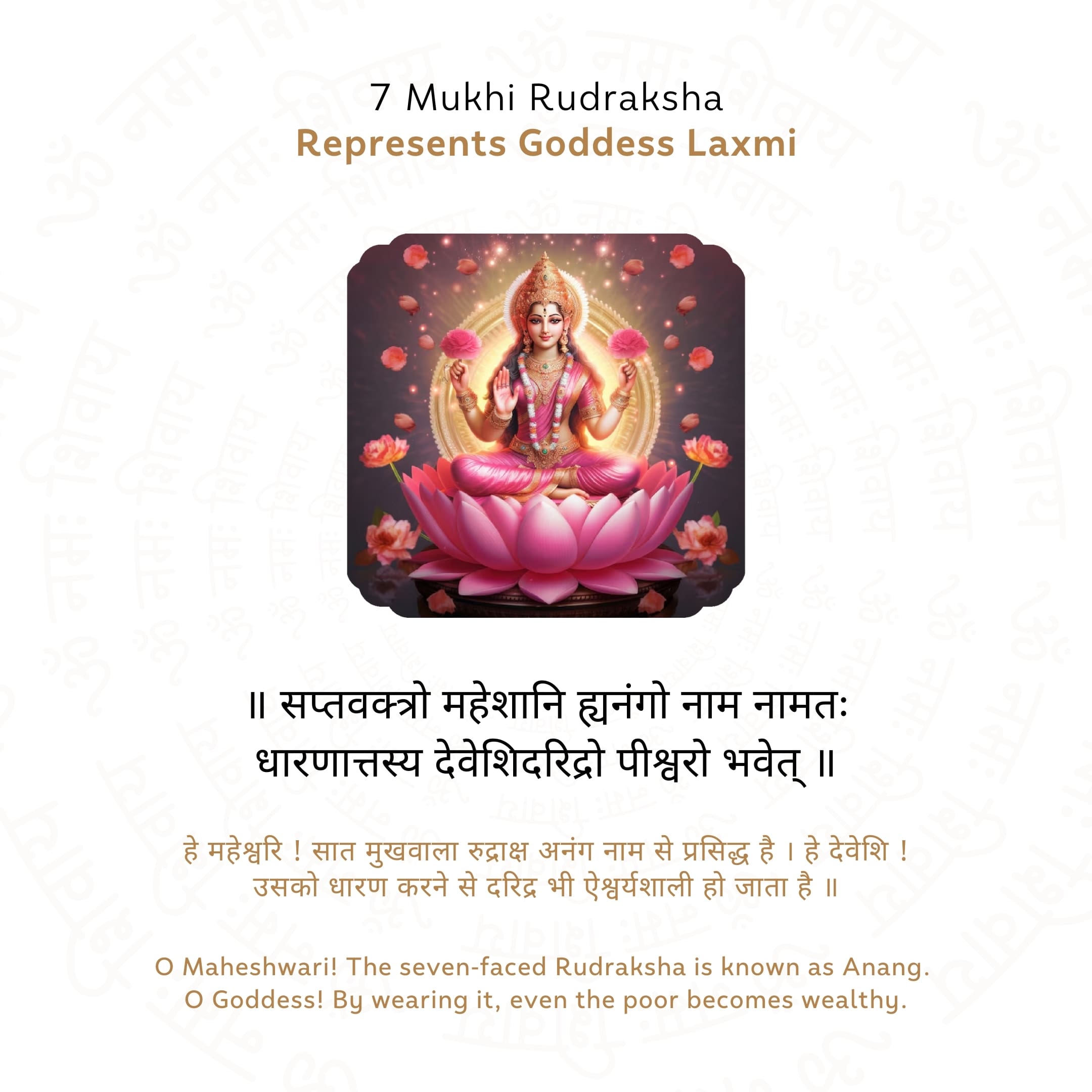 7 Mukhi Rudraksha Story