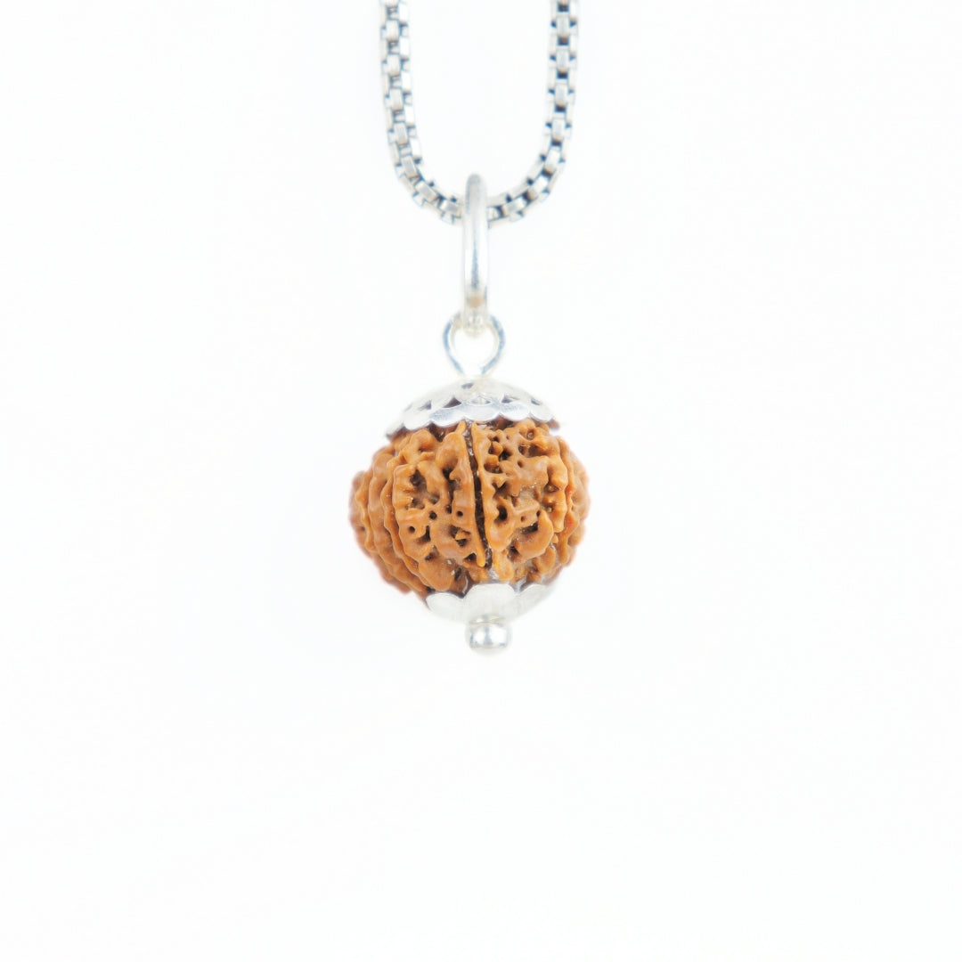 Silver Capping 10 Mukhi Rudraksha Pendant With Chain