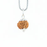 Silver Capping 10 Mukhi Rudraksha Pendant With Chain