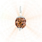 Authentic Silver Capping 3 Mukhi Rudraksha Pendant With Chain