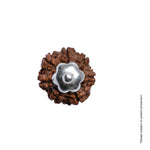 Orignal Adiyogi Pendant (7 Mukhi Nepali Rudraksha) With Chain