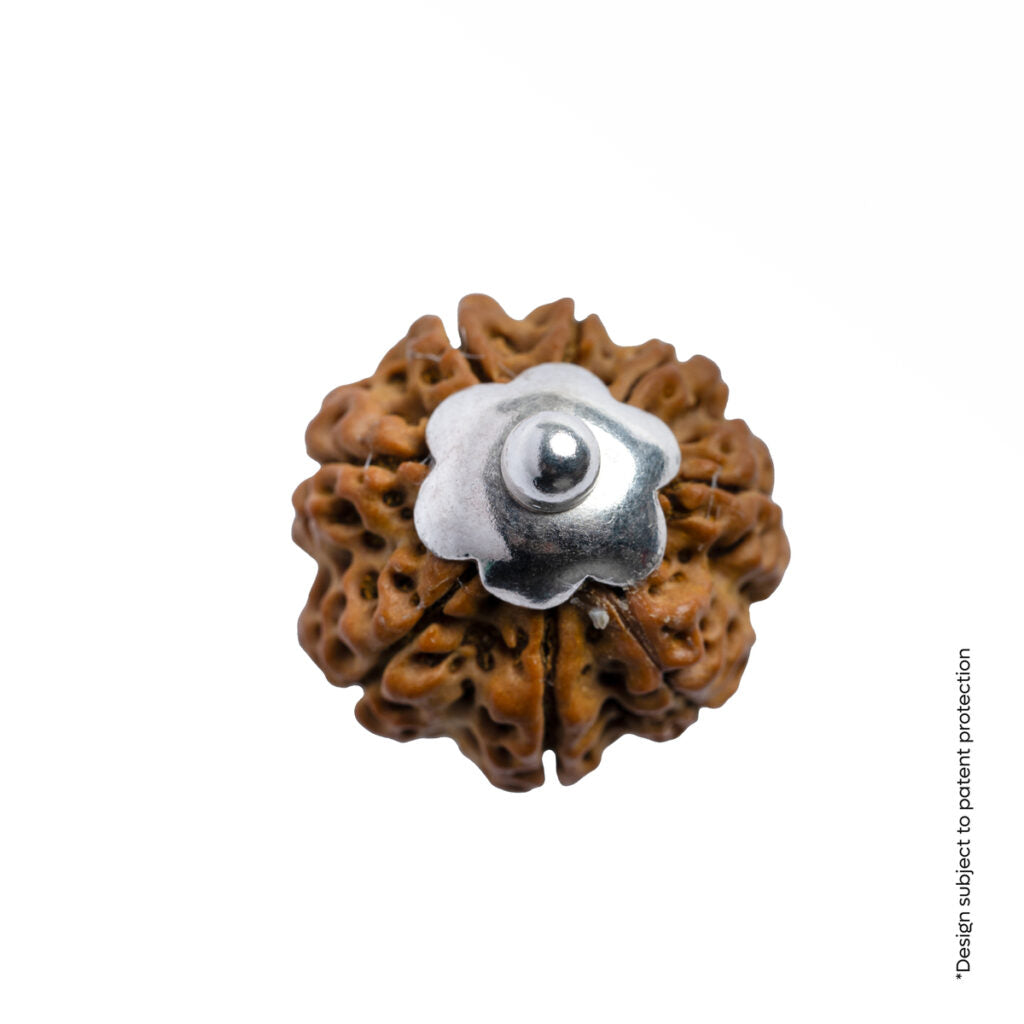 Adiyogi Pendant (8 Mukhi Nepali  Rudraksha)