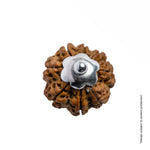 Adiyogi Pendant (8 Mukhi Nepali  Rudraksha)