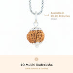 Orignal Silver Capping 10 Mukhi Rudraksha Pendant With Chain