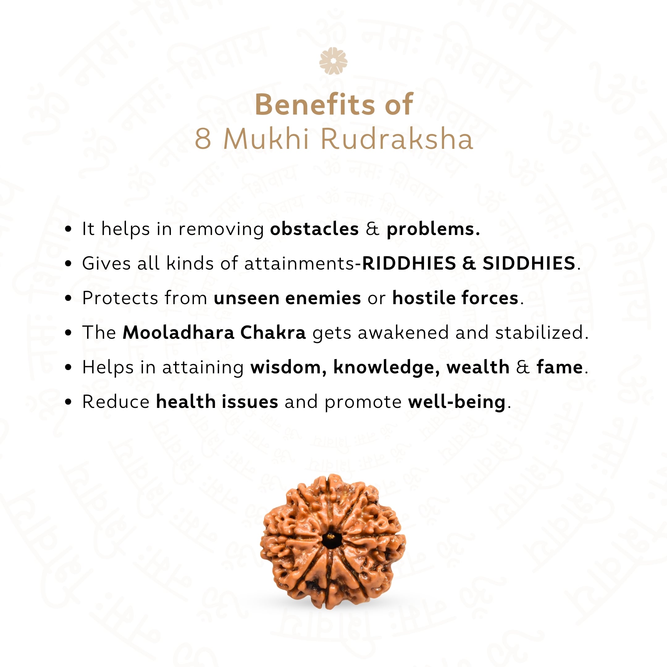 Benefits of 8 Mukhi Rudraksha
