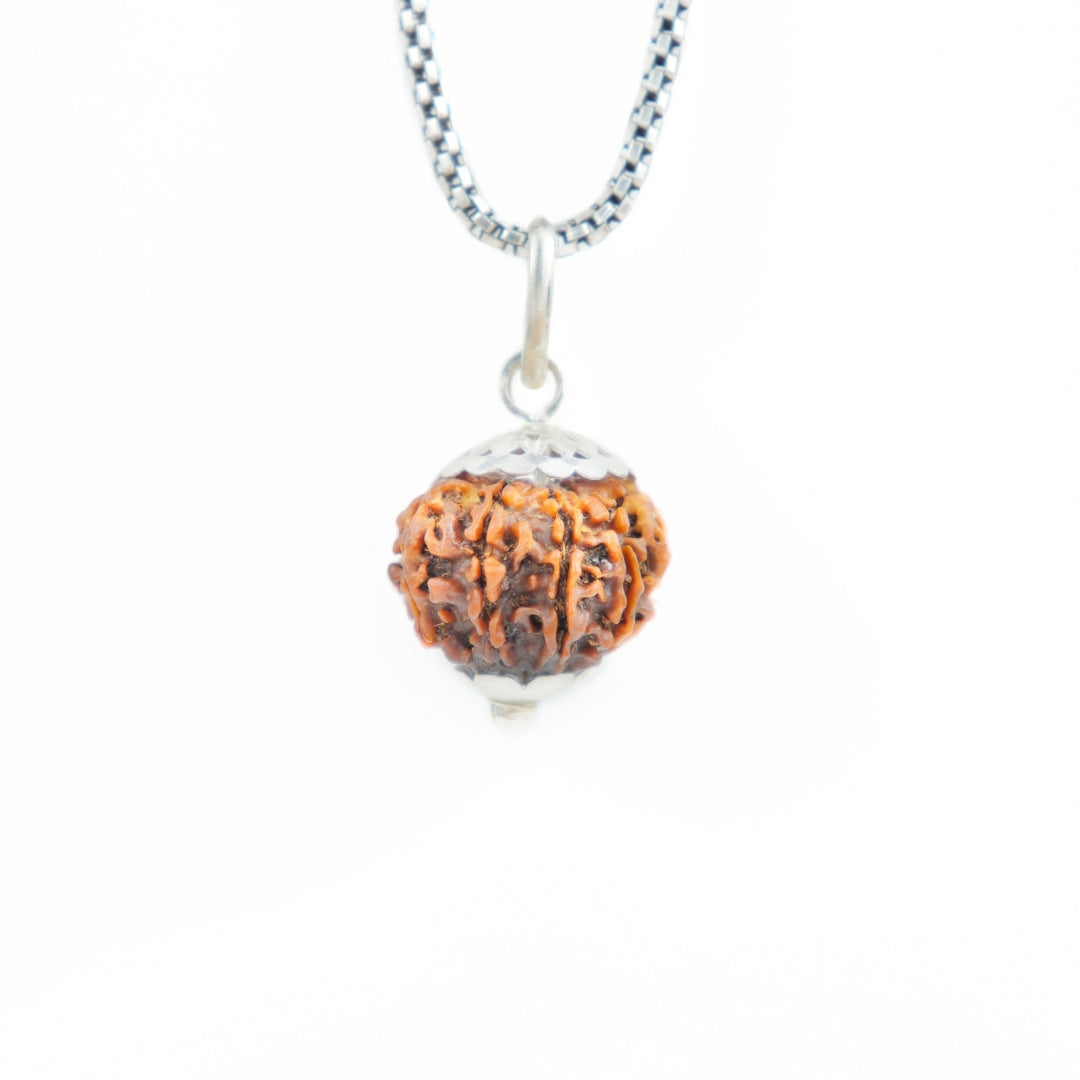 Silver Capping 11 Mukhi Rudraksha Pendant With Chain