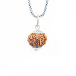 Silver Capping 11 Mukhi Rudraksha Pendant With Chain