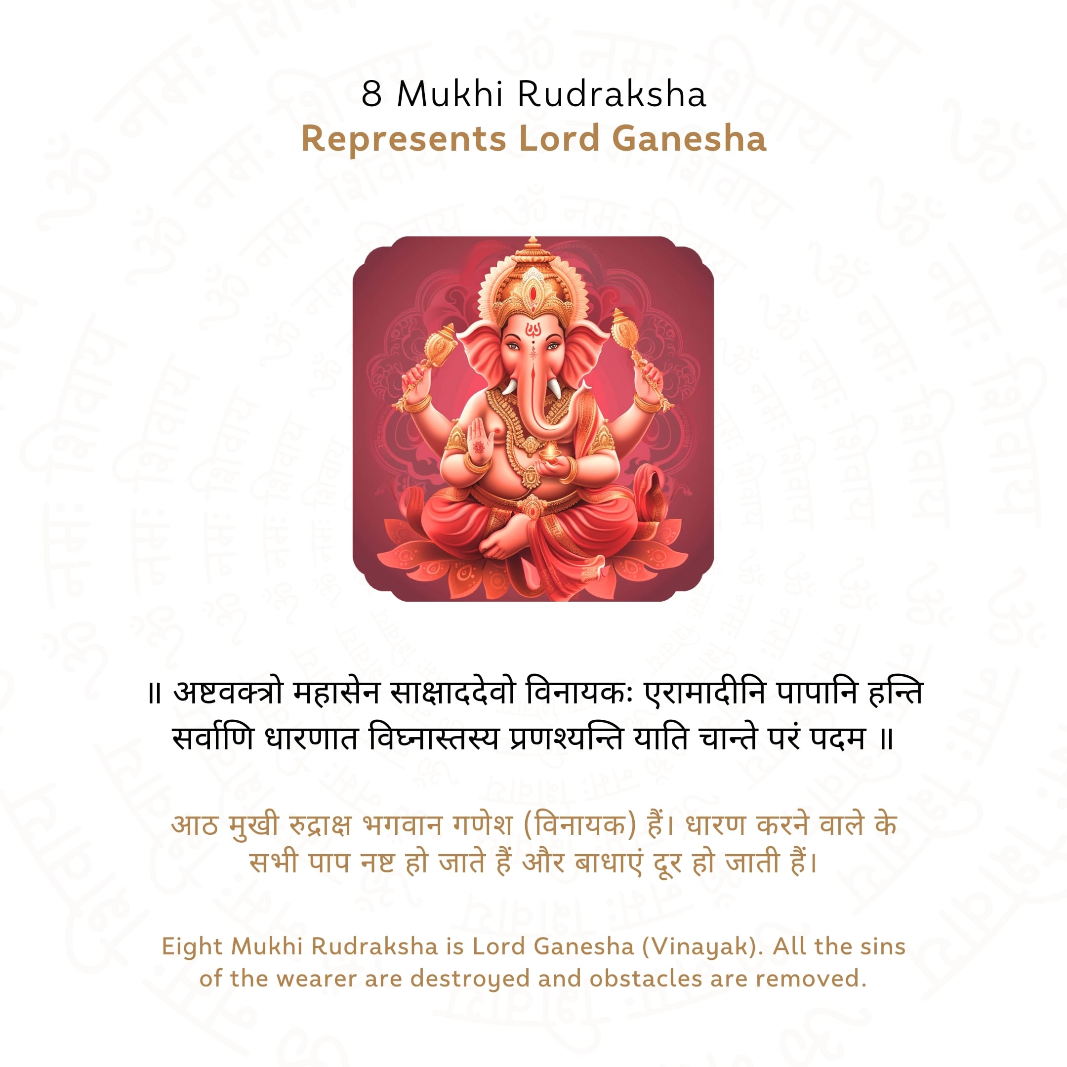 8 Mukhi Rudraksha Story