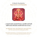 8 Mukhi Rudraksha Story