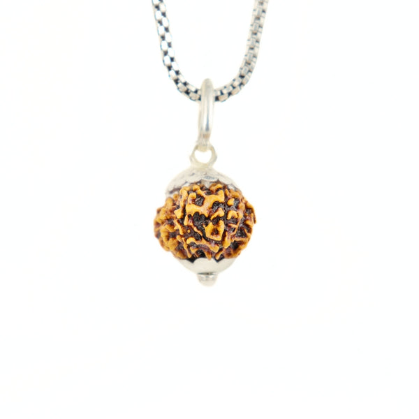 12 Mukhi Rudraksha Silver Capping Pendant ( Nepali )