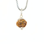 Silver Capping 12 Mukhi Rudraksha Pendant With Chain