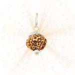 12 Mukhi Rudraksha Silver Capping Pendant ( Nepali )