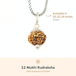 Organic Silver Capping 12 Mukhi Rudraksha Pendant With Chain