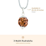 Orignal Silver Capping 3 Mukhi Rudraksha Pendant With Chain