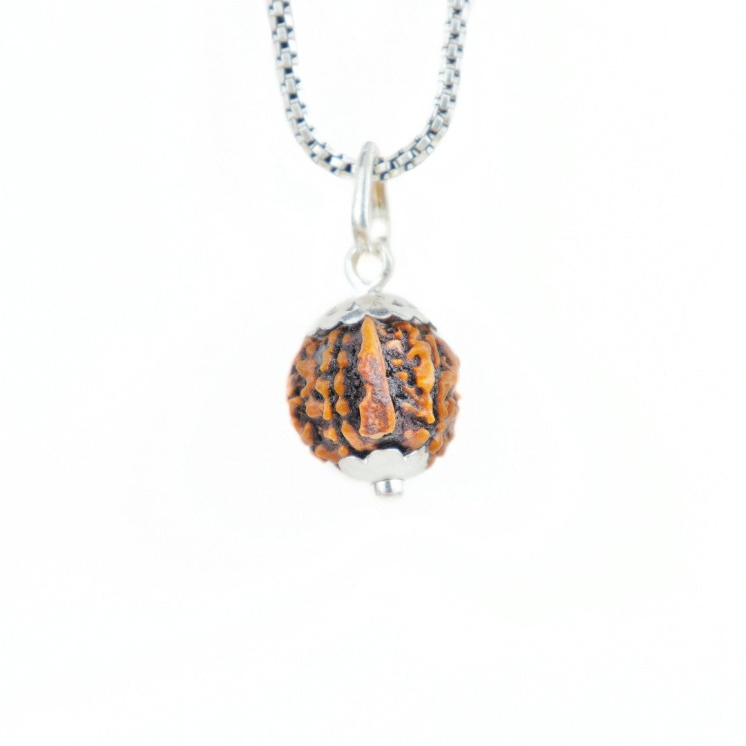 Ganesh Mukhi Rudraksha Silver Capping Pendant ( Nepali )