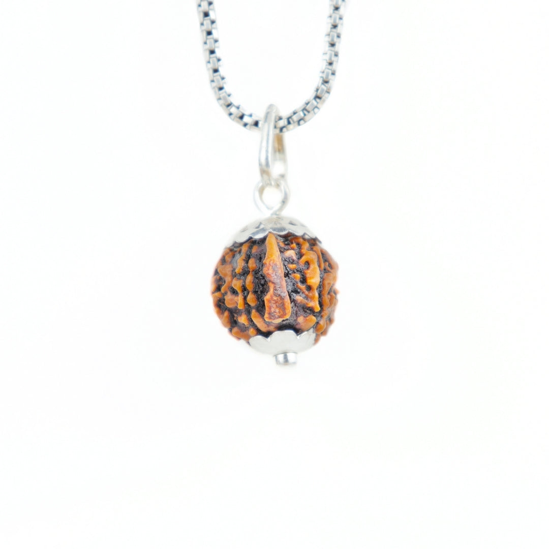 Silver Capping Ganesh Mukhi Rudraksha Pendant With Chain