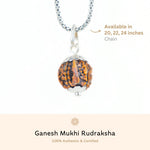 Orignal Silver Capping Ganesh Mukhi Rudraksha Pendant With Chain