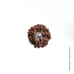 Adiyogi Pendant (Ganesh Mukhi Nepali Rudraksha)
