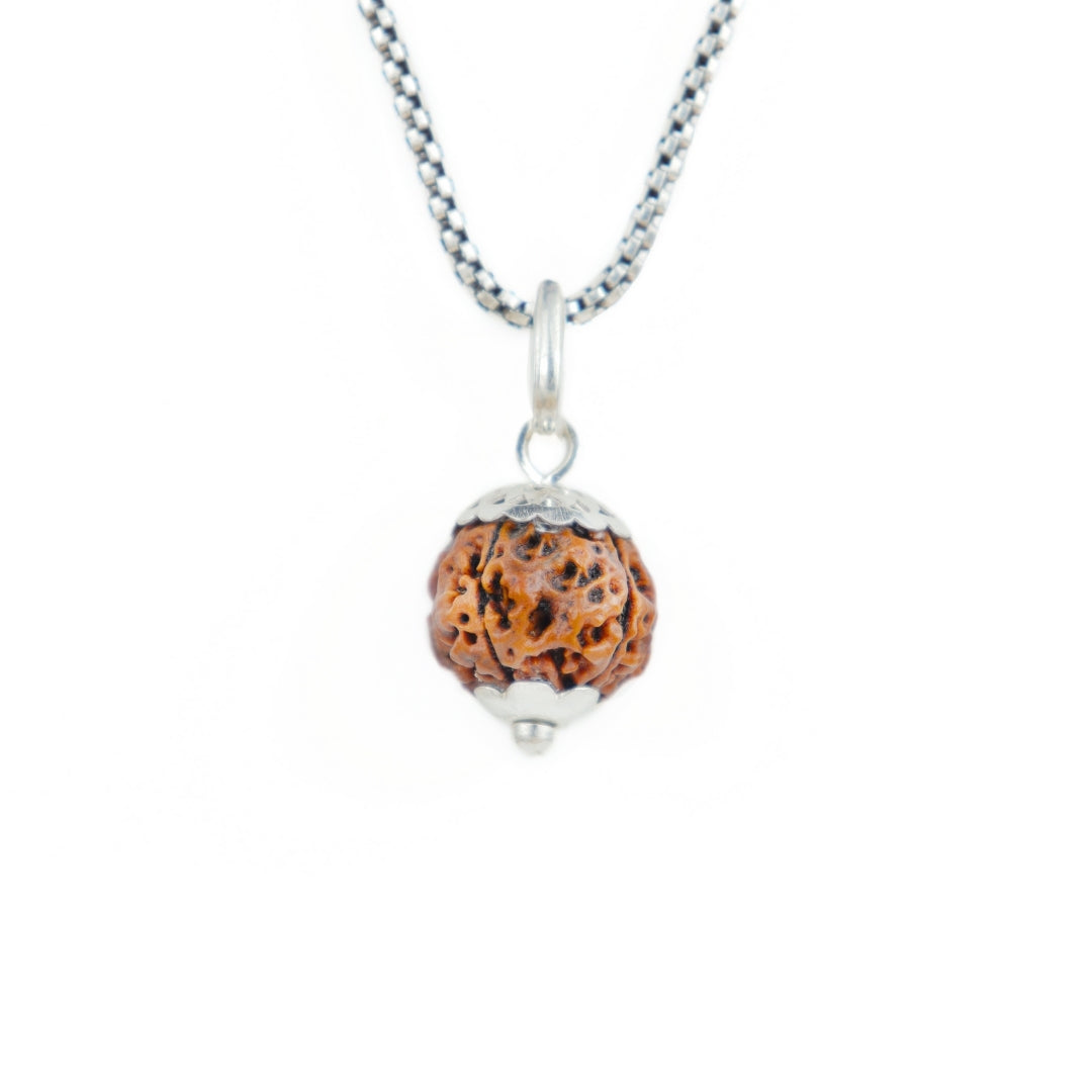 Silver Capping 4 Mukhi Rudraksha Pendant With Chain