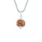 Silver Capping 4 Mukhi Rudraksha Pendant With Chain